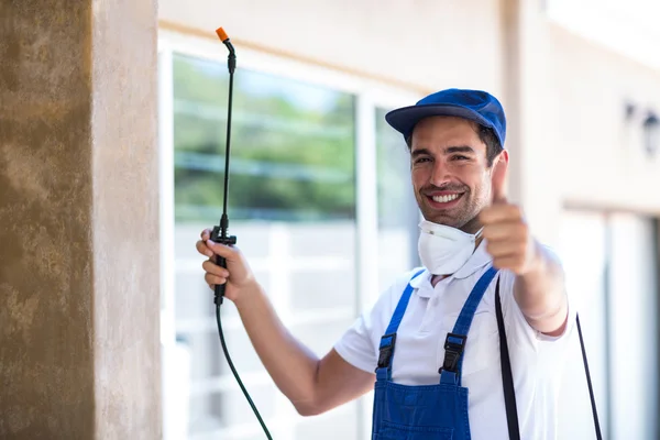 Millbrae Wasp Removal