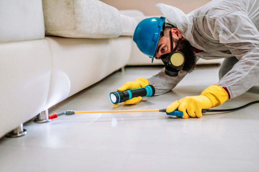 Millbrae Termite Control